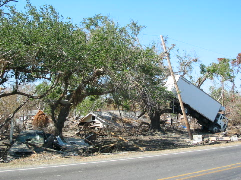 TFG Truck in tree.jpg